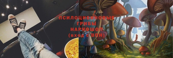 скорость Горно-Алтайск