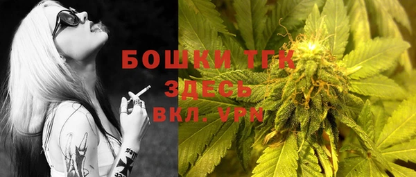 спайс Горняк