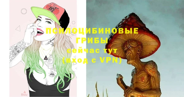 гашик Вязники