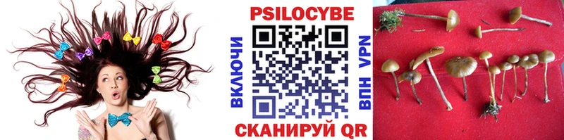 МЕГА ССЫЛКА  Гудермес  Псилоцибиновые грибы мицелий 